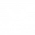 pariatur pariatur